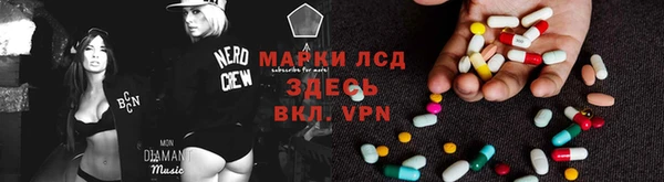 дурь Алзамай