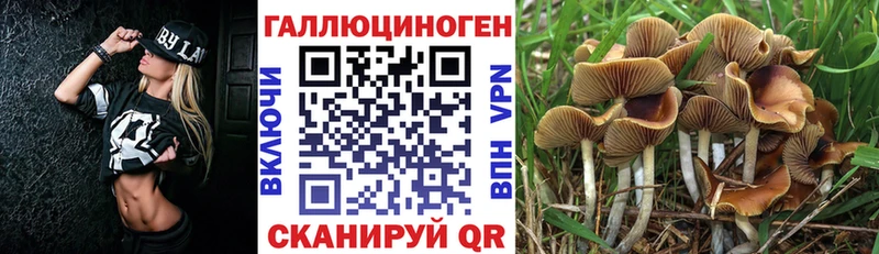 Псилоцибиновые грибы GOLDEN TEACHER  мега зеркало  Белгород 