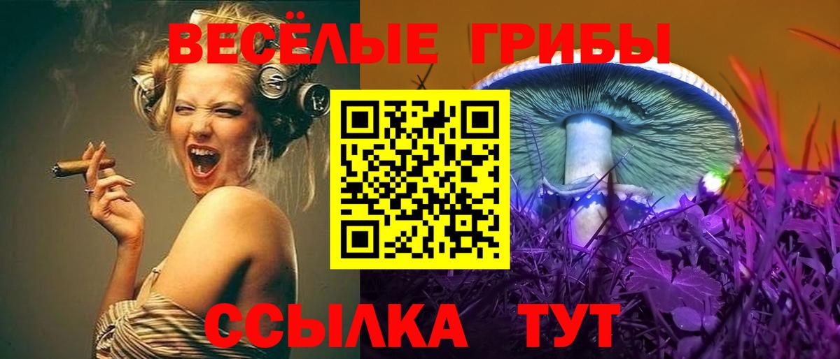 Галлюциногенные грибы прущие грибы Белгород