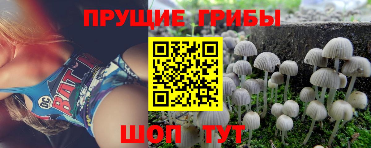 Белгород  Псилоцибиновые грибы GOLDEN TEACHER  Вход с VPN 